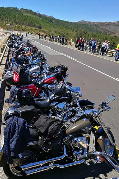 harley davidson tours harleys lined up on road